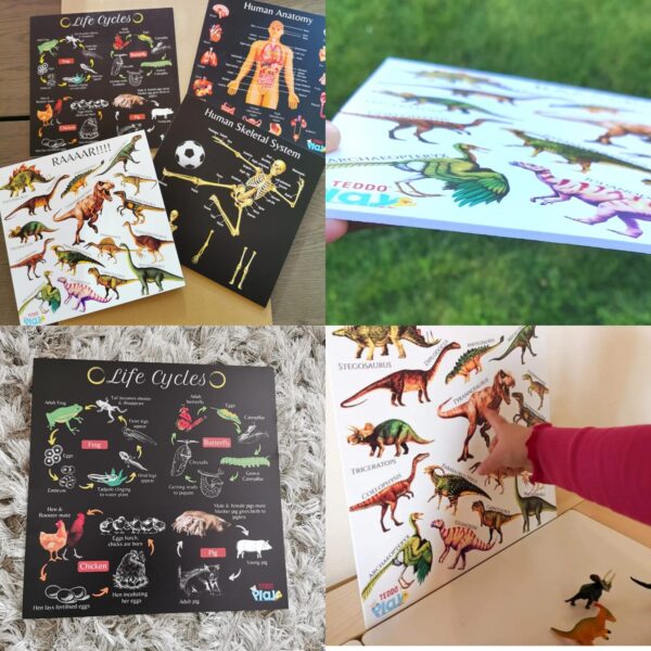 Ex-Display Sale Portable Educational Poster Boards