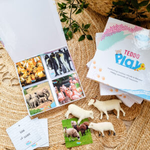 Names of Groups Collective Nouns Teddo Play Kit
