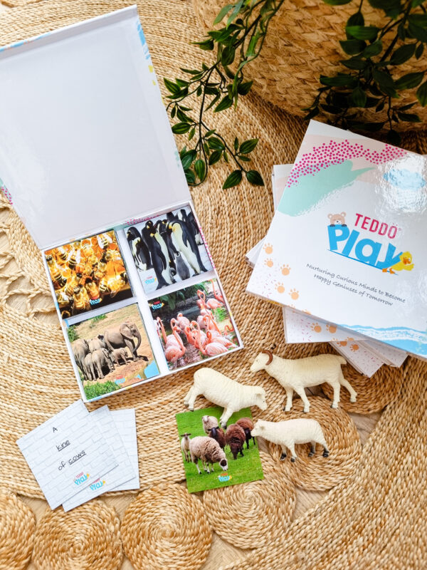 Names of Groups Collective Nouns Teddo Play Kit