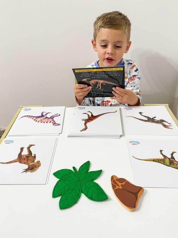 Independent reading with Teddo Play Learning Sets