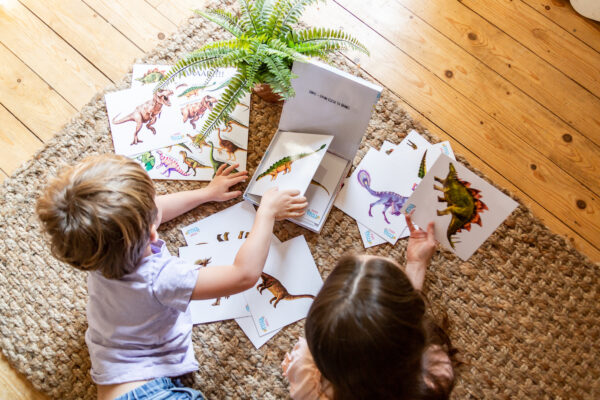 Siblings learning together about Dinosaurs
