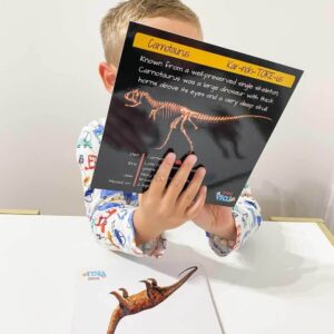 Dinosaur Facts Teddo Play