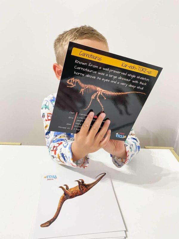 Dinosaur Facts Teddo Play