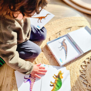 Learning about Dinos Facts