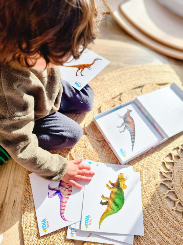 Learning about Dinos Facts