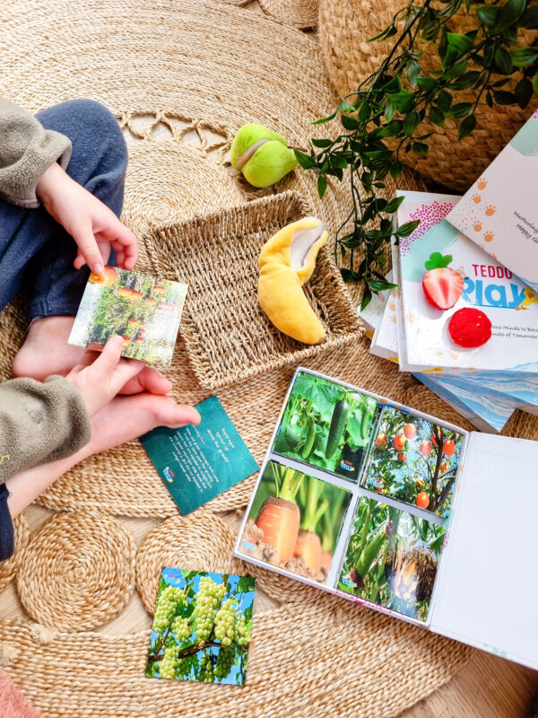 Child learning about where fruits and vegetables grow with Teddo Play Learning Set