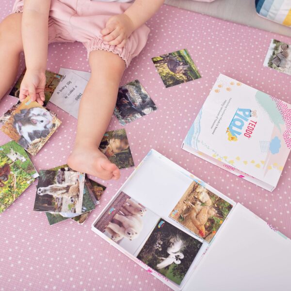 Animals and their Young Learning for Children