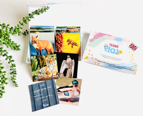 Early Years Animals Spellings Game Teddo Play