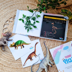 Teddo Play Dinosaurs Resources