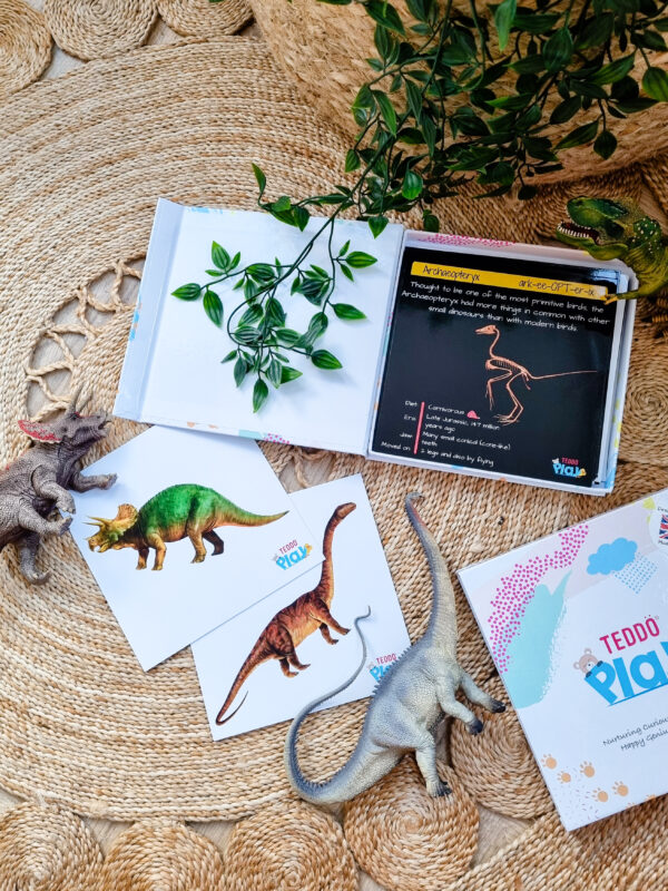 Teddo Play Dinosaurs Resources