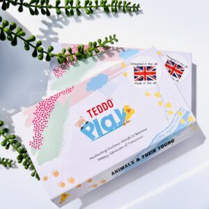 Teddo Play Learning Sets of 20