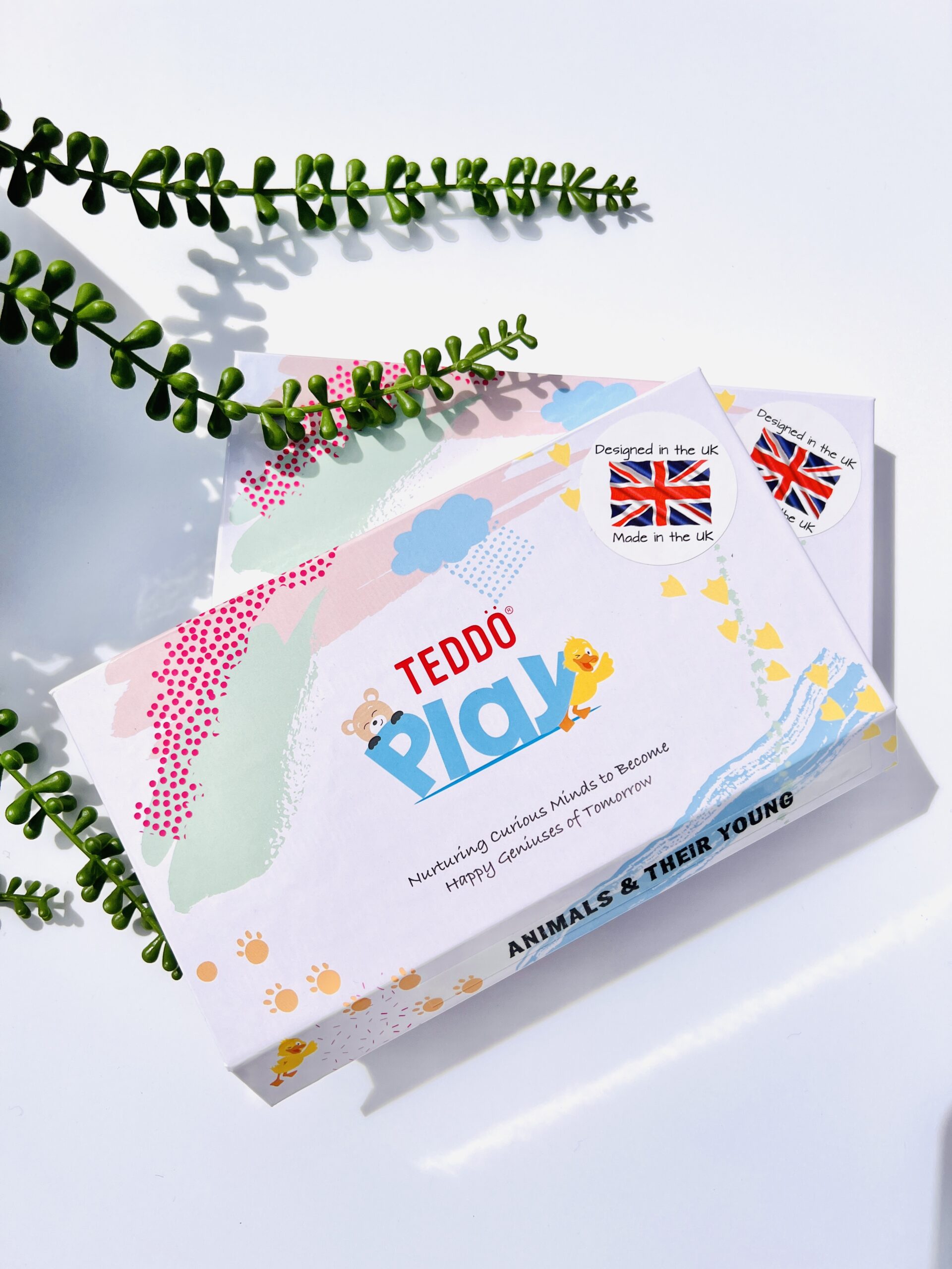 Teddo Play Minis
