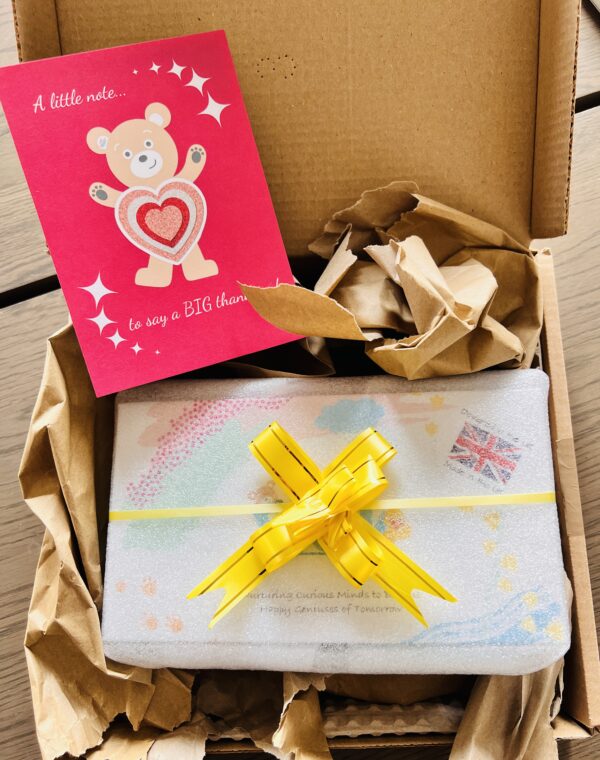 Teddo Play Educational Presents for Children