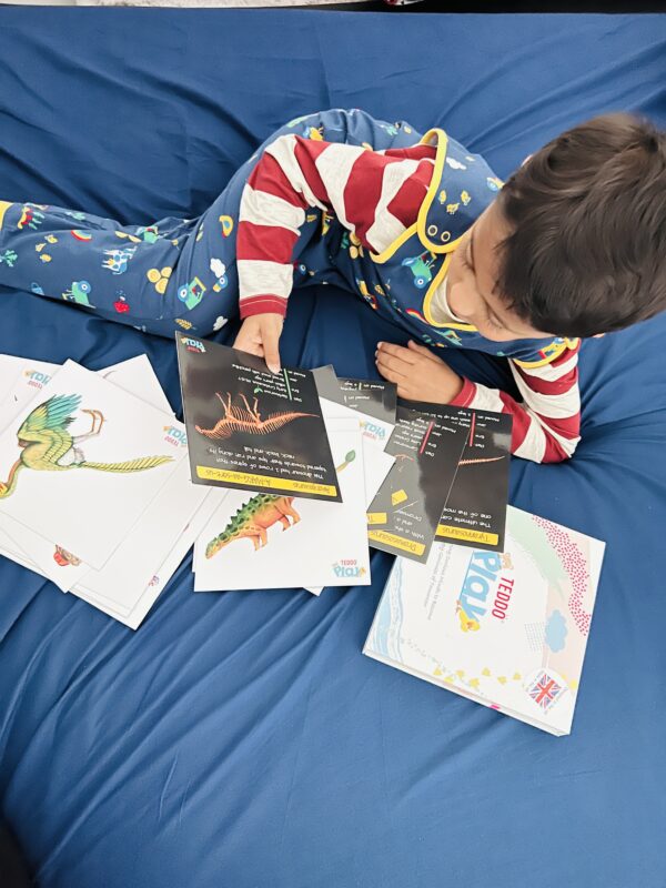 Teddo Play Dinos Facts Learning Set