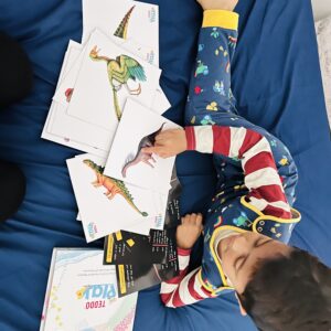 Learning about Dinosaurs with Teddö Play