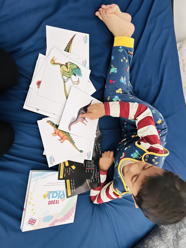 Learning about Dinosaurs with Teddö Play