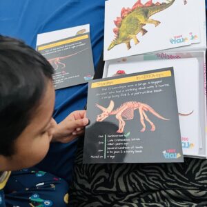 Home Learning Disnosaurs Skeletons