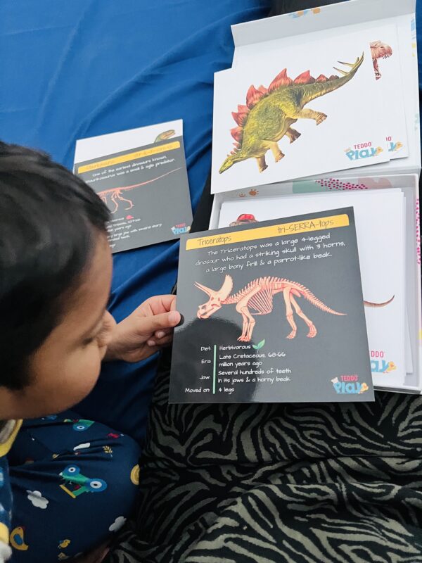 Home Learning Disnosaurs Skeletons