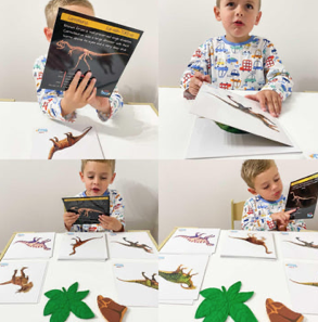 Dinosaurs