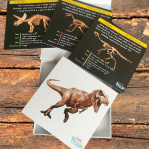 Teddo Play Dinosaurs from Flesh to Bones Learning Set