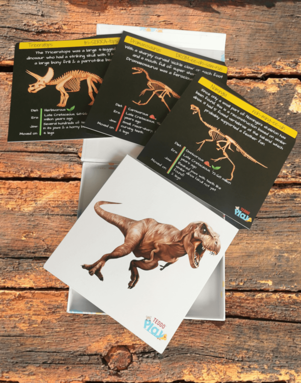 Teddo Play Dinosaurs from Flesh to Bones Learning Set