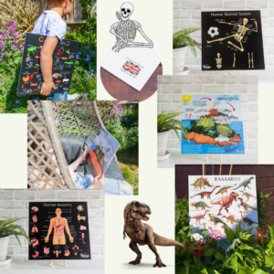 Teddo Play Educational Poster Boards