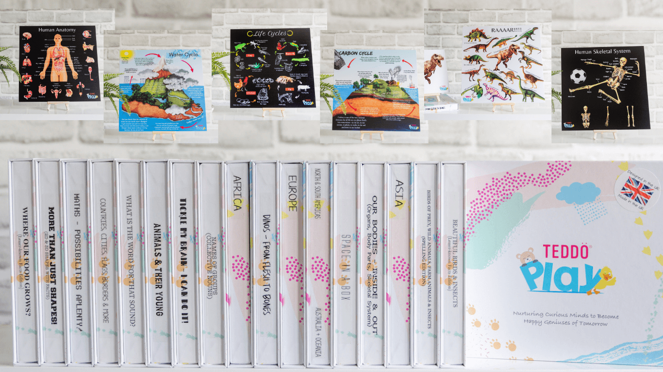 Teddo Play Educational Learning Resources